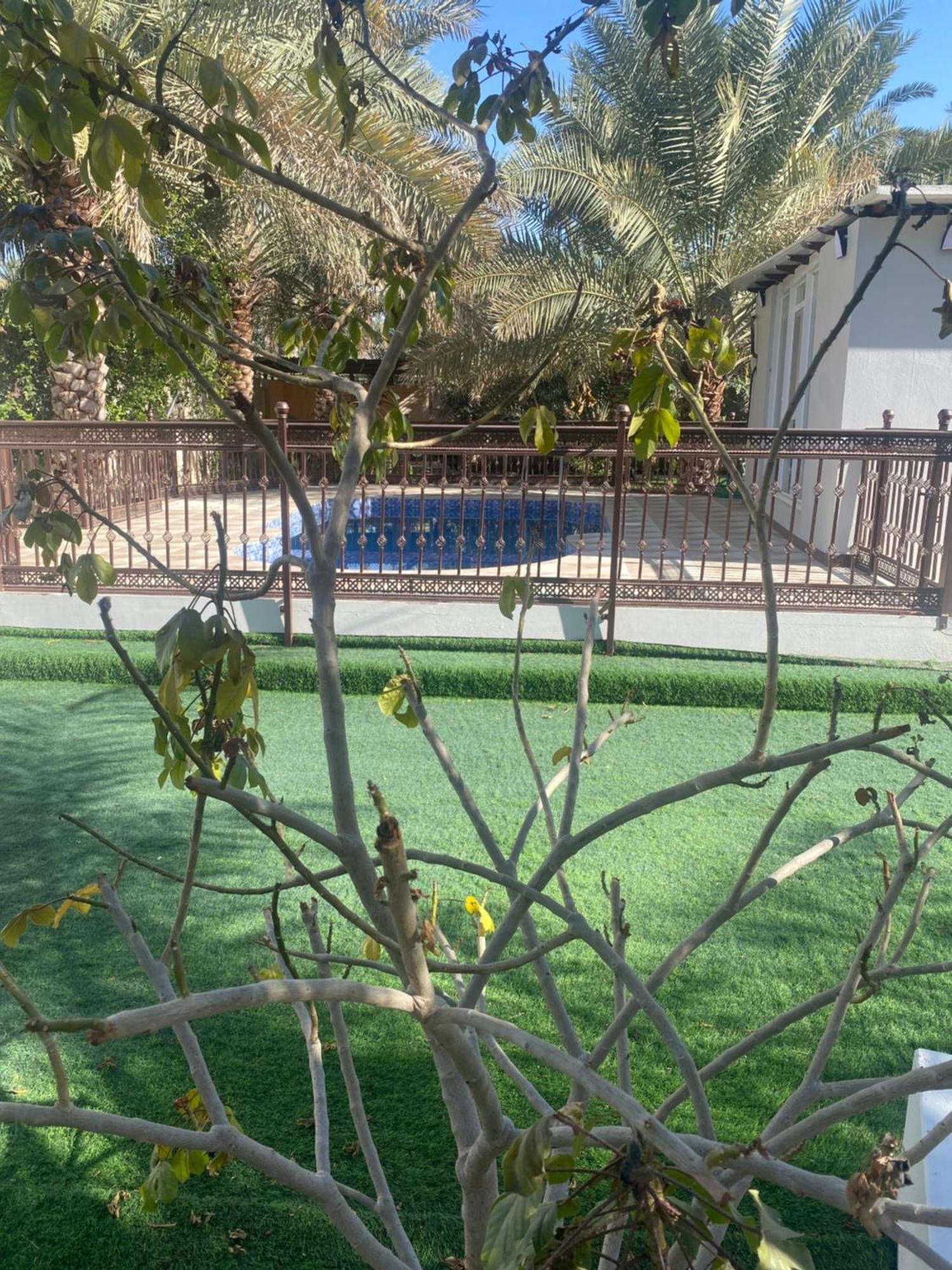 Dar Alhamra Inn نزل دار الحمراء Al Ḩamrāʼ 외부 사진
